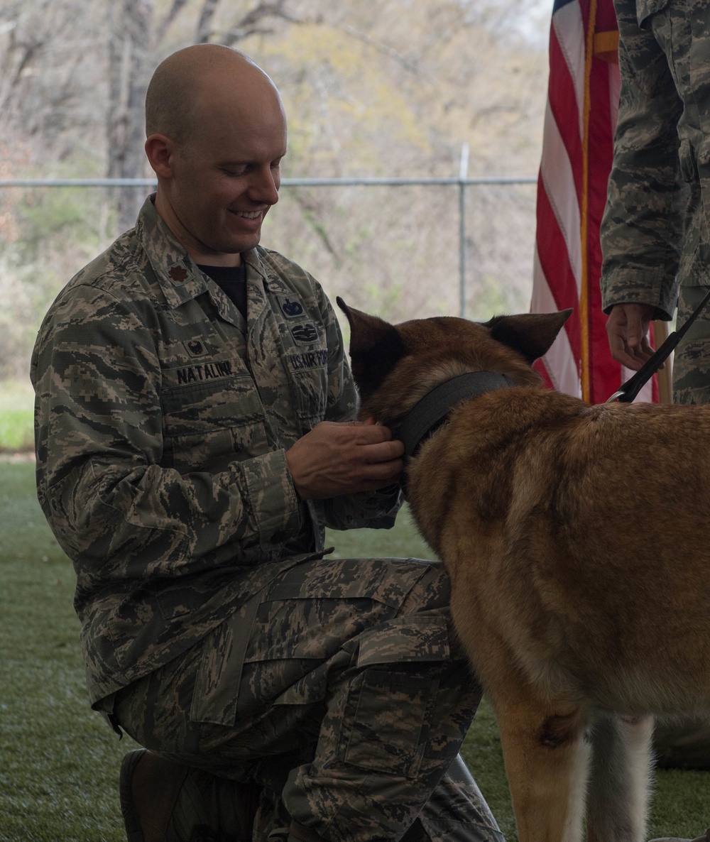 K-9 heroes: 2nd SFS honors MWDs