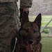 K-9 heroes: 2nd SFS honors MWDs