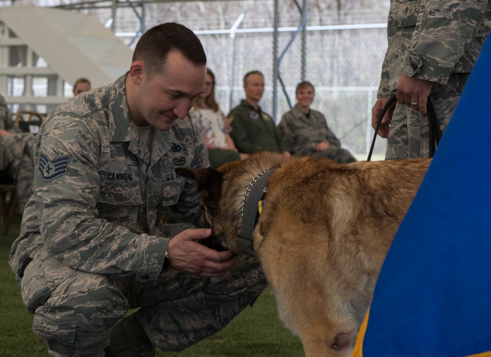 K-9 heroes: 2nd SFS honors MWDs