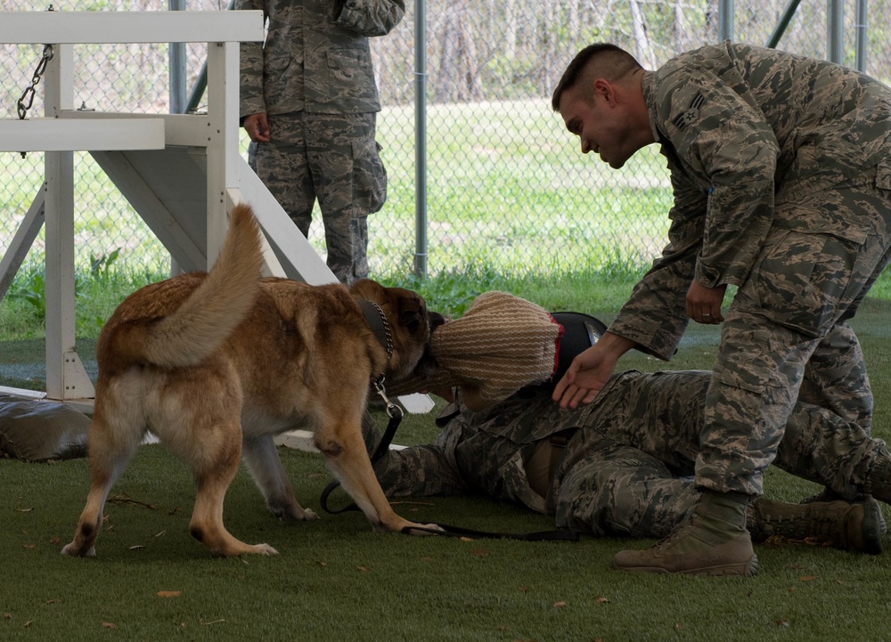 K-9 heroes: 2nd SFS honors MWDs