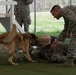 K-9 heroes: 2nd SFS honors MWDs