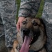 K-9 heroes: 2nd SFS honors MWDs