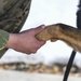 Defenders share a union with four-legged wingmen