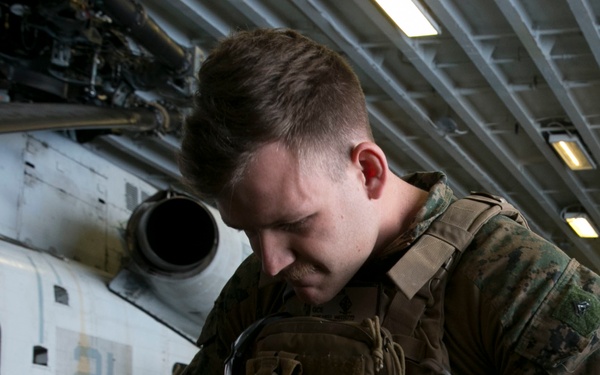 Marines with BLT 1/1 participate in TRAP training