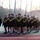 Day of the NCO