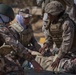 FET coalition with Jordan Armed Forces