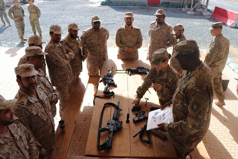 Foreign air defenders, noncommissioned officer exchange