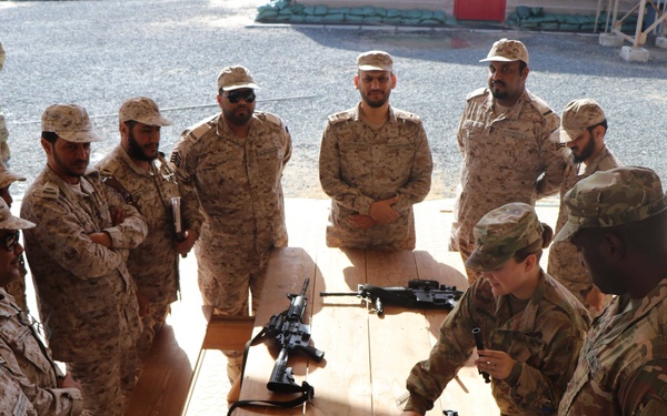 Foreign air defenders, noncommissioned officer exchange