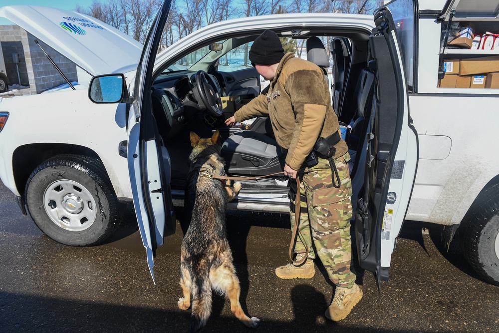 Defenders share a union with four-legged wingmen