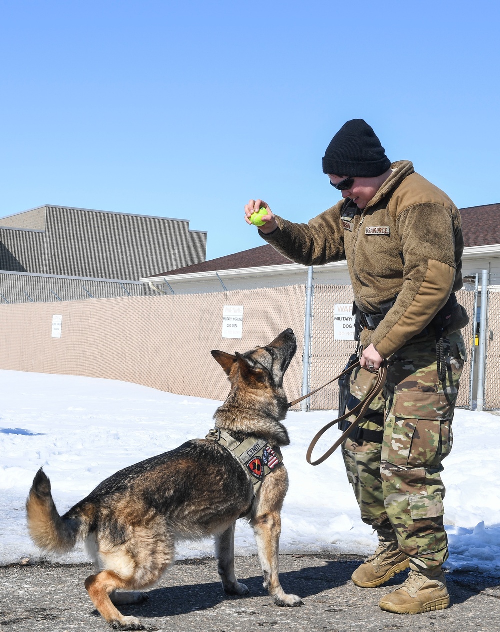 Defenders share a union with four-legged wingmen