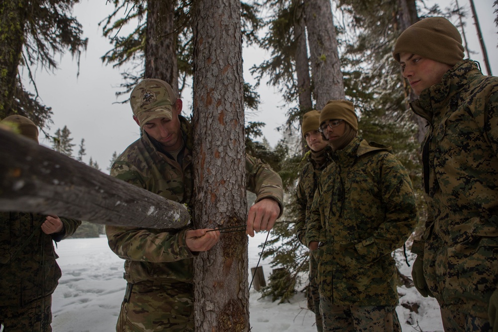 HMLA-269 &amp; MWSS-274 conduct SERE Training