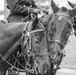 Full Honors Repatriation for U.S. Army Cpl. Dow F. Worden in Section 60
