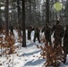 First for the cold: Marines train with British Royal Marines
