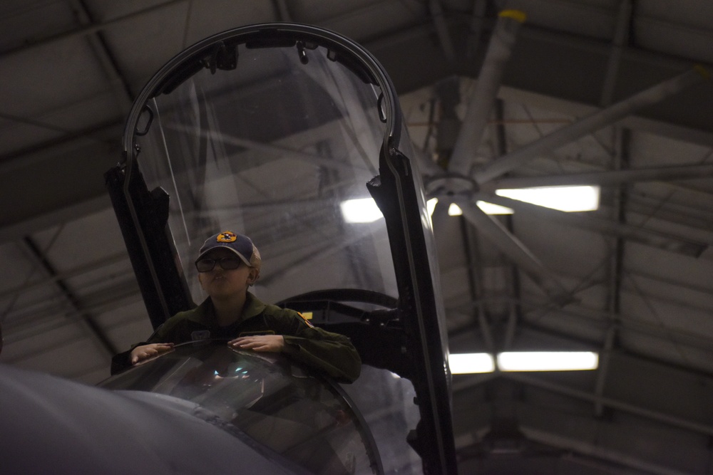 334th FS shows it has GUTS