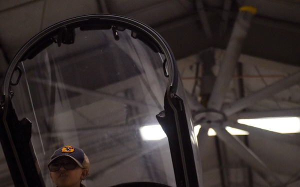 334th FS shows it has GUTS