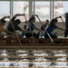 JASDF, USAF Dragon Boat Teams Train Together