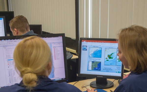 Coast Guard Academy Right Whale project