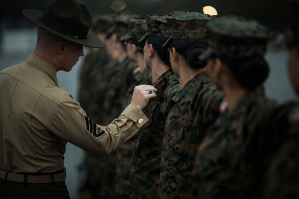 Marine recruits demonstrate discipline through drill on Parris Island