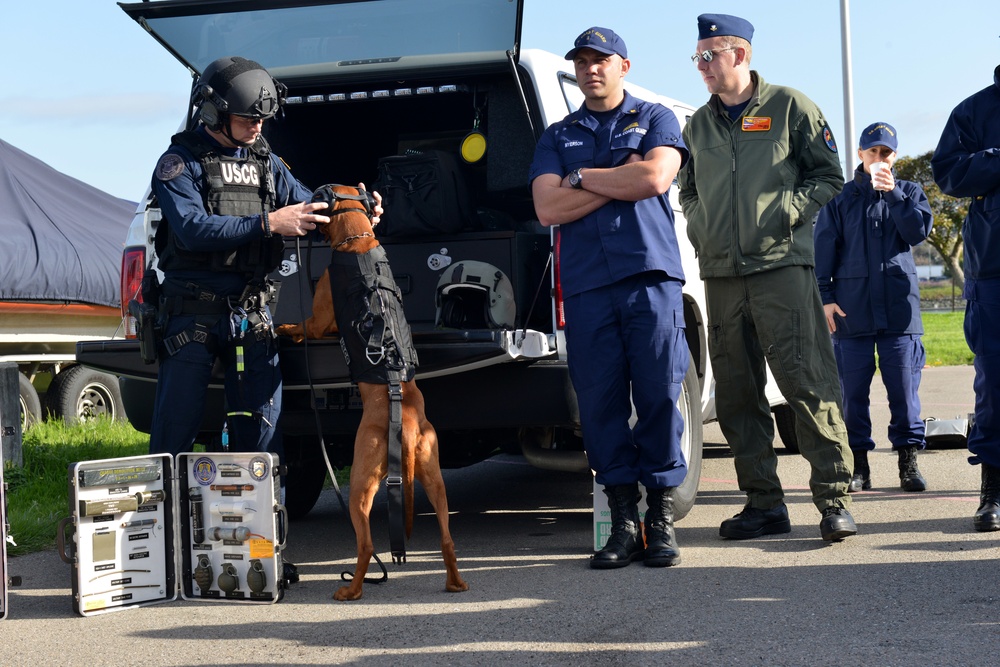 Coast Guard MSST 91105 team members and their canine partners conduct Canine Explosive Detection capabilities demonstration on Coast Guard Island