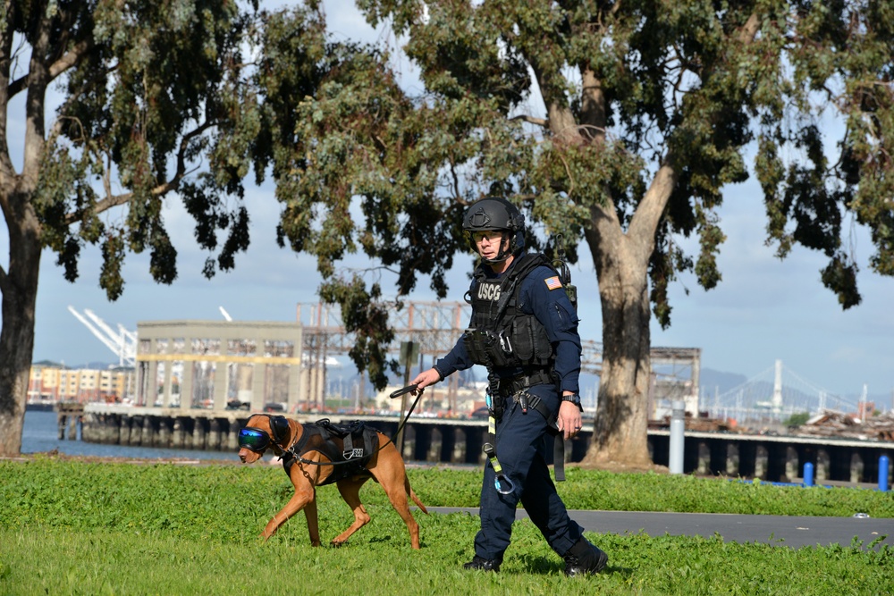 Coast Guard MSST 91105 team members and their canine partners conduct Canine Explosive Detection capabilities demonstration on Coast Guard Island