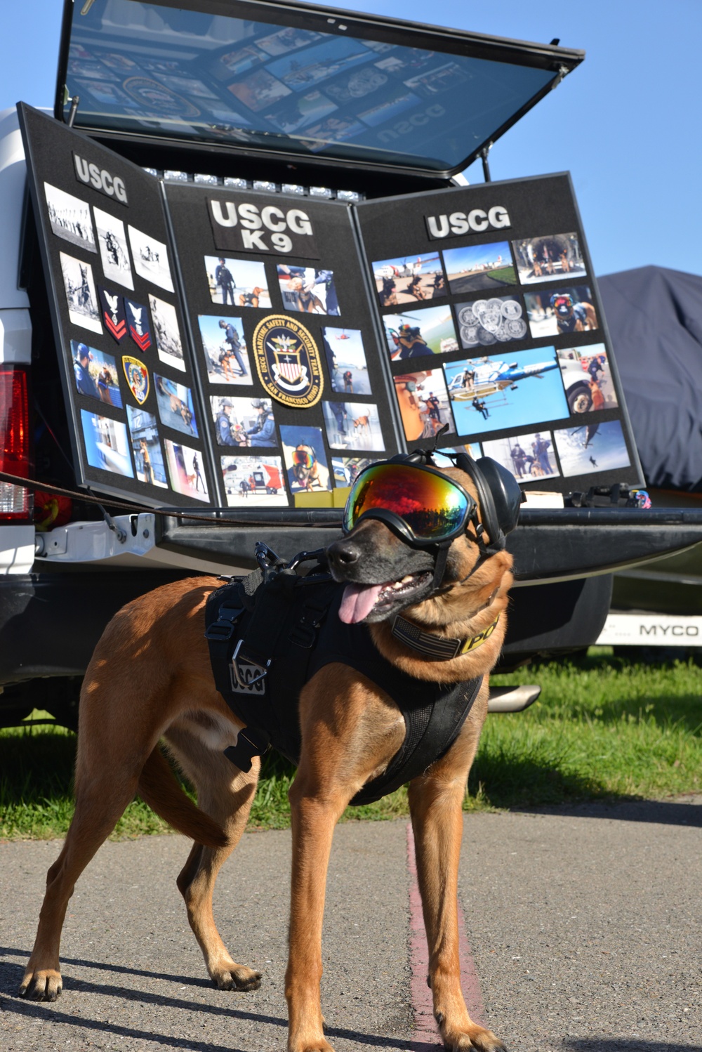 Coast Guard MSST 91105 team member and their canine partners conduct Canine Explosive Detection capabilities demonstration on Coast Guard Island