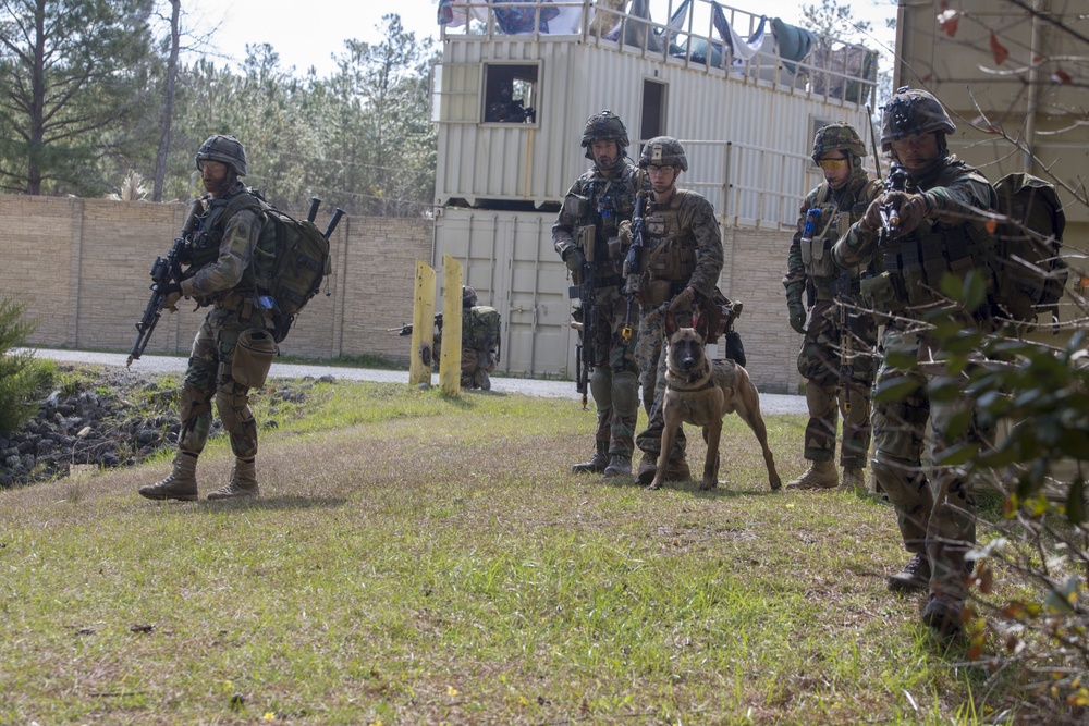 Dutch Marines clear MOUT with 2nd LE working dogs