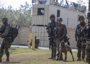 Dutch Marines clear MOUT with 2nd LE working dogs