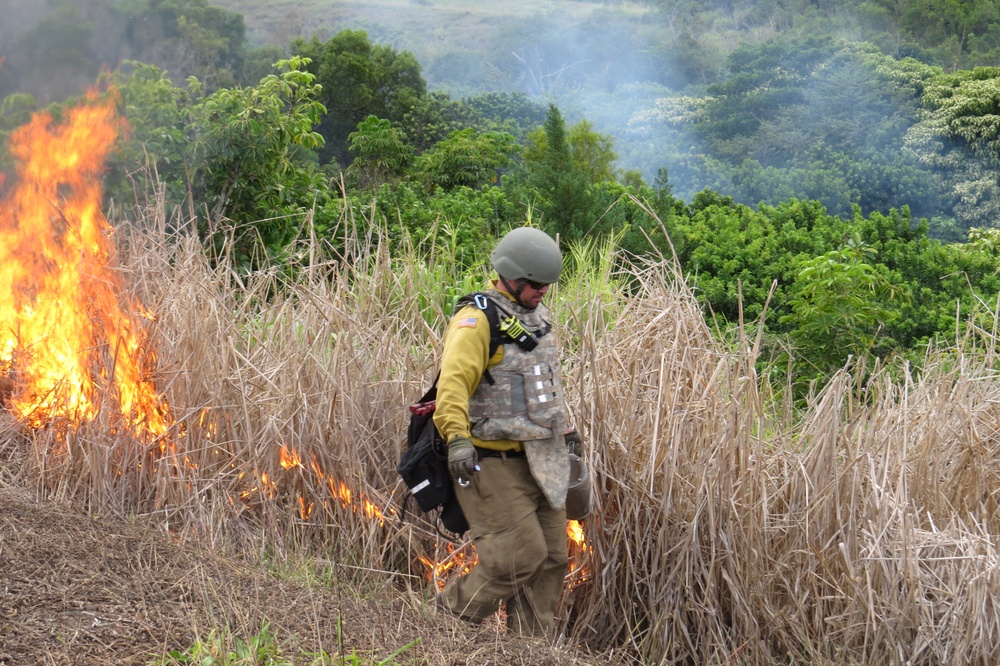 Wildland firefighters support Army's mission