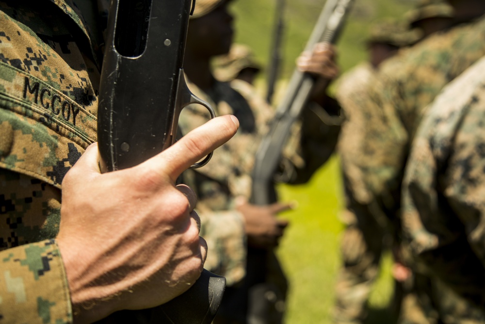 Non-Lethal Weapons Fire Familiarization and Demonstration