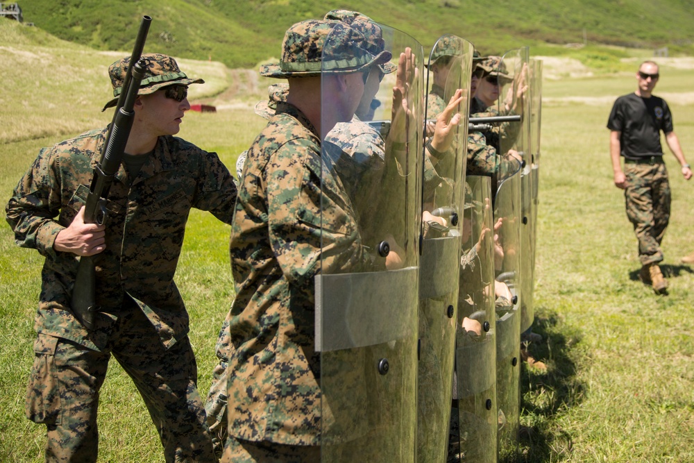 Non-Lethal Weapons Fire Familiarization and Demonstration