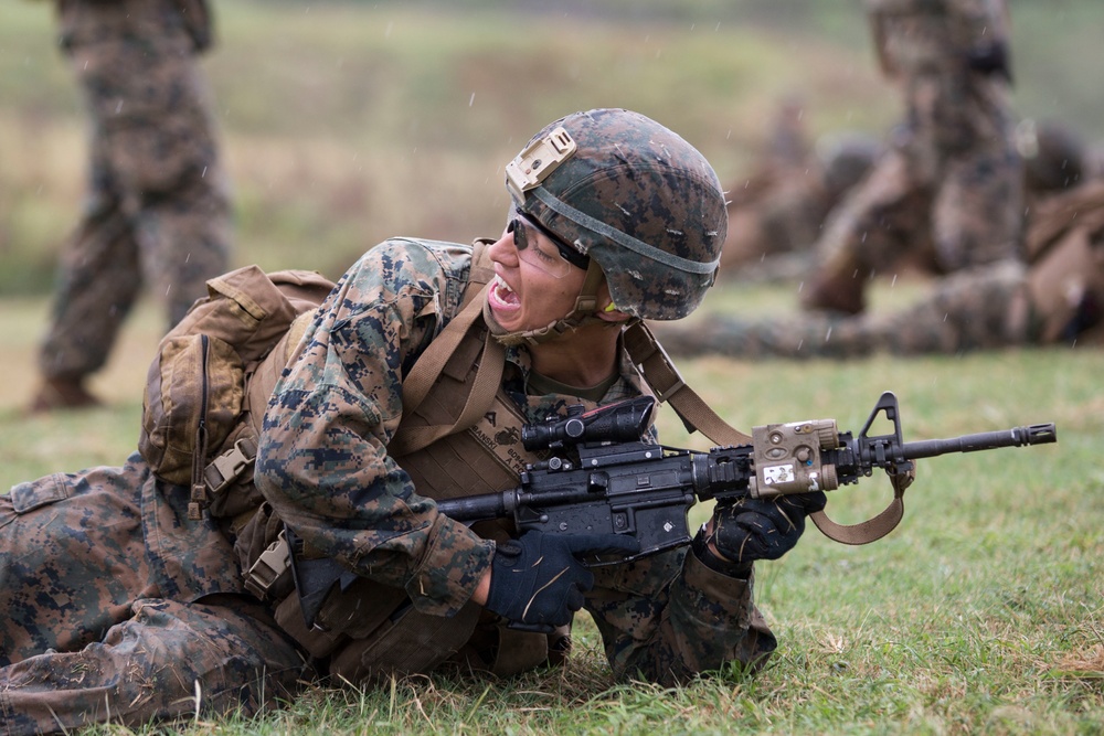 Rounds down range, Hawaii Marines conduct combined arms training