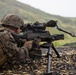 Rounds down range, Hawaii Marines conduct combined arms training