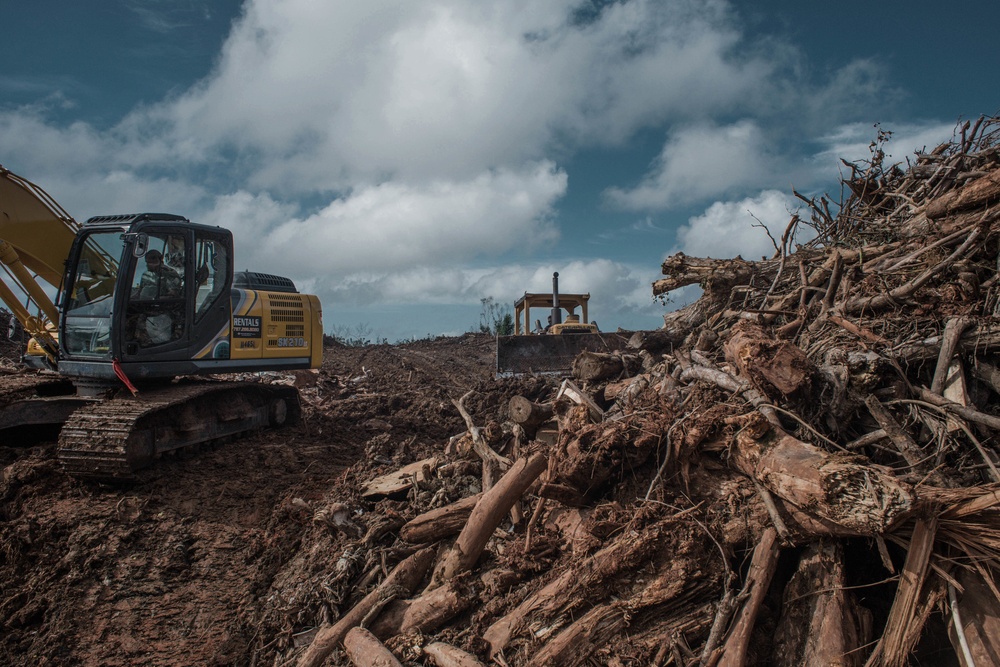 Debris Removal In Naranjito