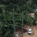 Two New Poles Installed to Re-Establish the Power Grid in Peñuelas