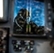 Los Angeles Dodger's Receive Flyover from Vance Air Force Base