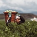 Tomato Farm Back To Normal After Power Restoration