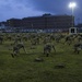 HQBN Commanders Cup HITT Event