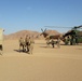 Task Force Spartan aviation brigade exchanges troops with Jordanian Air Force
