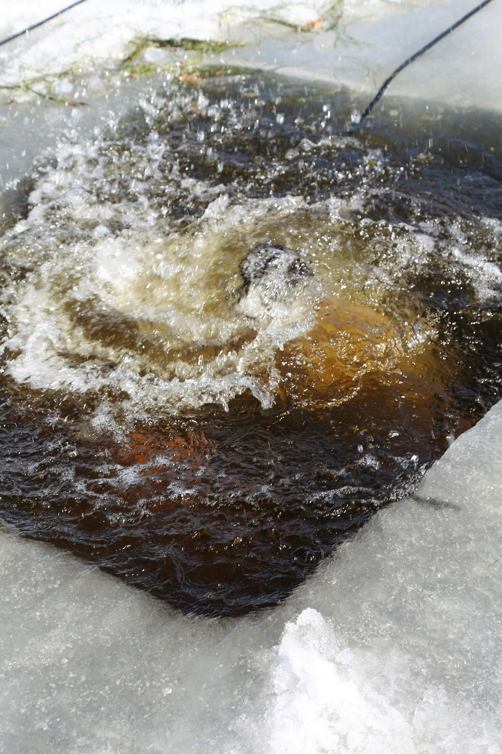 Cold-Weather Operations Course 18-06 students complete cold-water immersion training at Fort McCoy