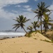 University of Puerto Rico Advisers Inspect Beach Erosion in Camuy