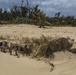 University of Puerto Rico Advisers Examine Beach Erosion in Camuy