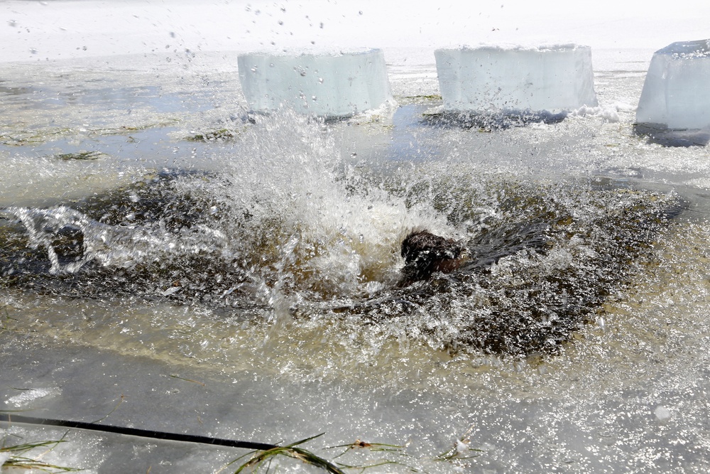 Cold-Weather Operations Course 18-06 students complete cold-water immersion training at Fort McCoy