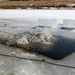 Cold-Weather Operations Course 18-06 students complete cold-water immersion training at Fort McCoy