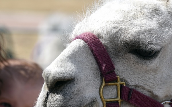 Schriever celebrates Spring’s beginning