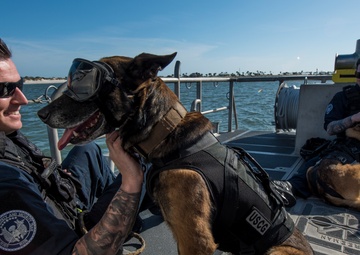 Coast Guard Canine Explosive Detection Team conducts hoist training
