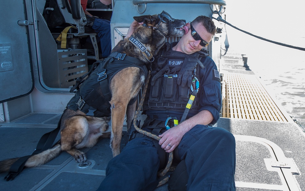 Coast Guard Canine Explosive Detection Team conducts hoist training