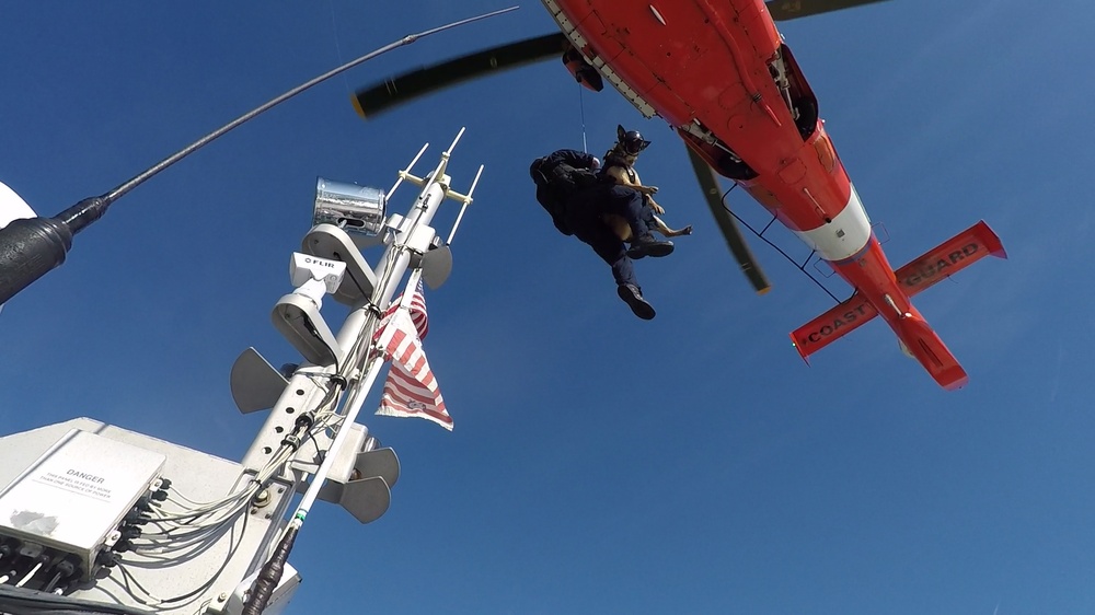 Coast Guard Canine Explosive Detection Team conducts hoist training