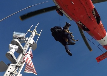 Coast Guard Canine Explosive Detection Team conducts hoist training