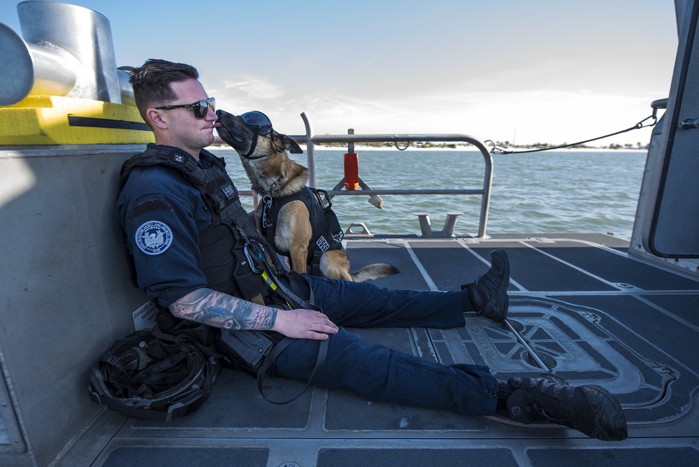 Coast Guard Canine Explosive Detection Team conducts hoist training