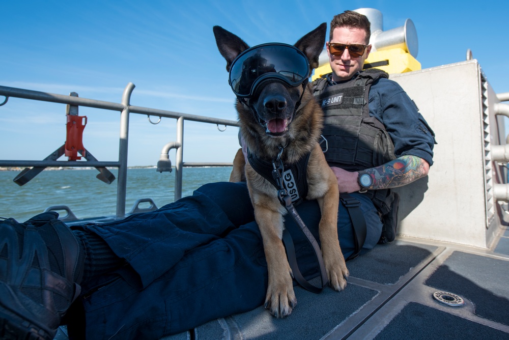 Coast Guard Canine Explosive Detection Team conducts hoist training